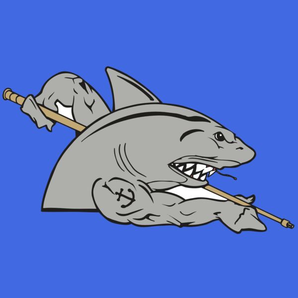 AR POOL 27 RC Thumbnail