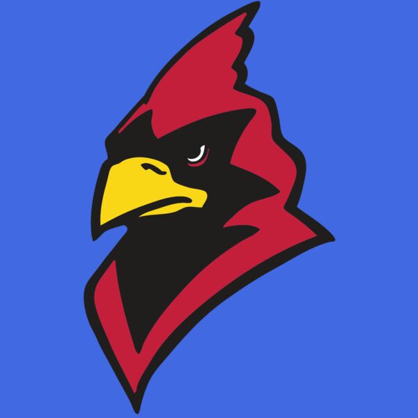 AR CARDINAL 22 RC Thumbnail