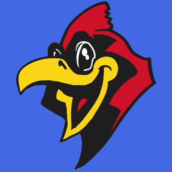 AR CARDINAL 36 RC Thumbnail