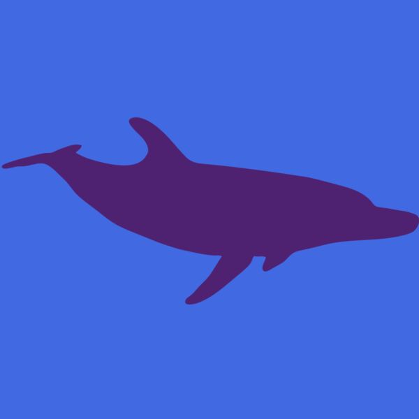 AR DOLPIN 12 RC Thumbnail