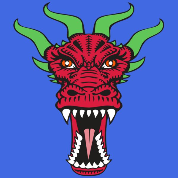 BAW DRAGON 09 RC Thumbnail