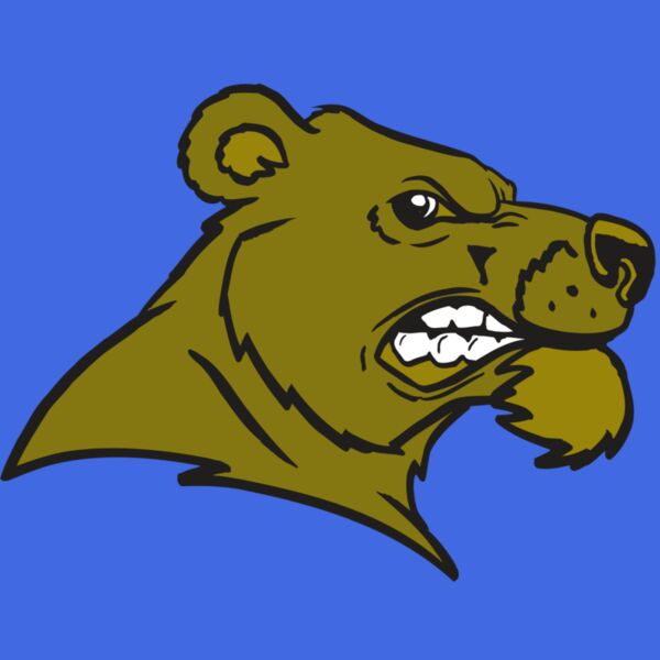 AR BEAR 11 RC Thumbnail