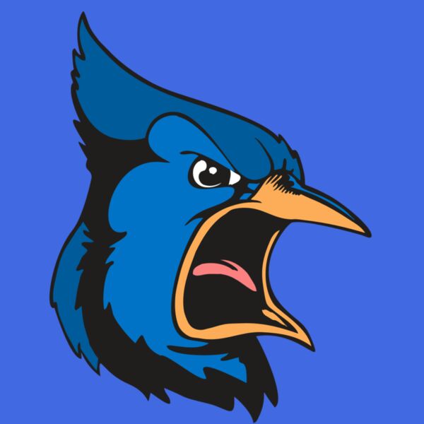 BAW BLUEJAY 03 RC Thumbnail