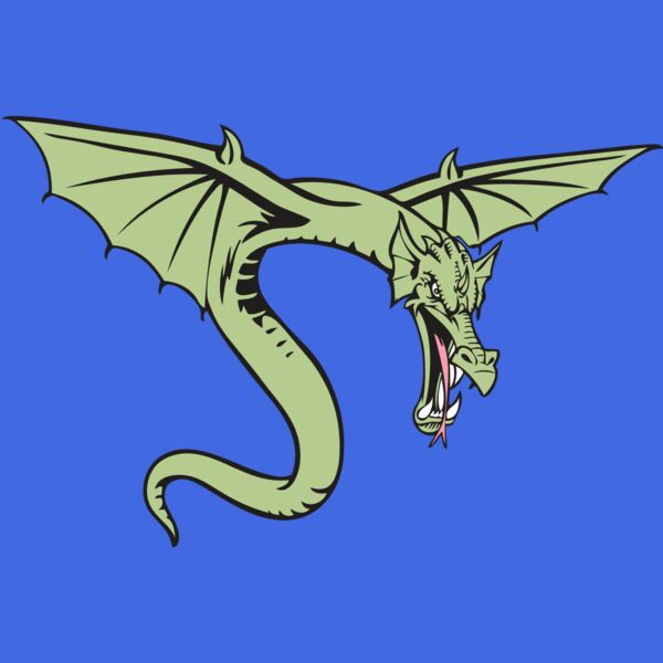 BAW DRAGON 08 RC Thumbnail