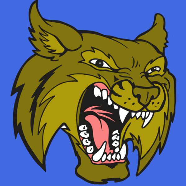 AR5 BOBCAT 20 RQC Thumbnail