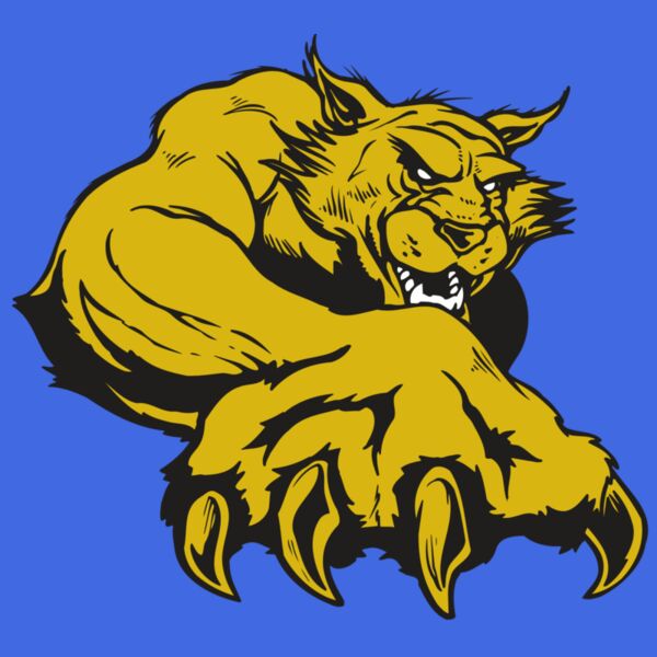 AR WILDCAT 26 RC Thumbnail