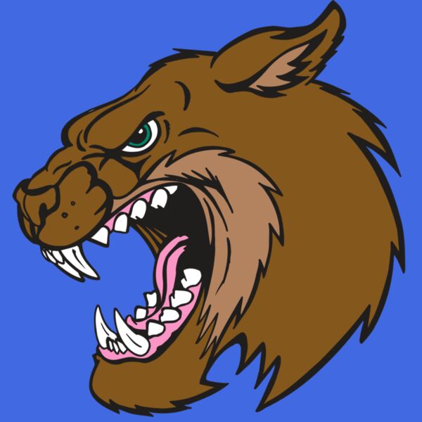 AR5 BOBCAT 18 RQC Thumbnail