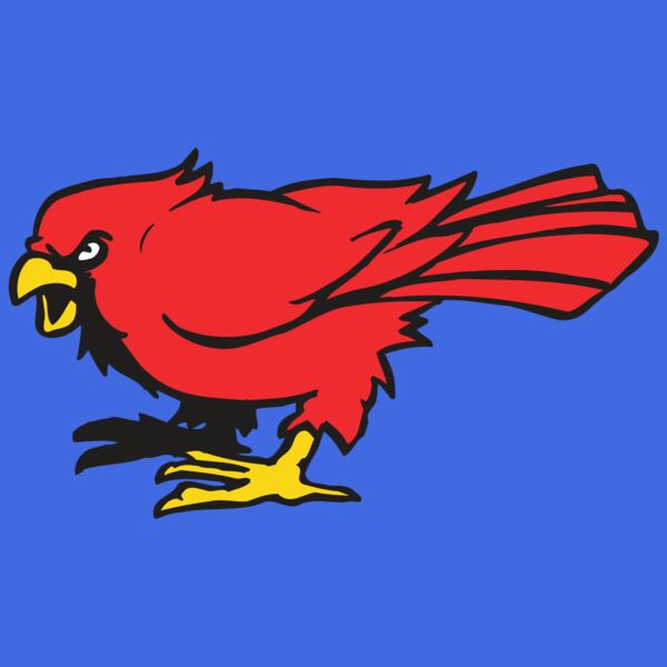 AR CARDINAL 11 RC Thumbnail