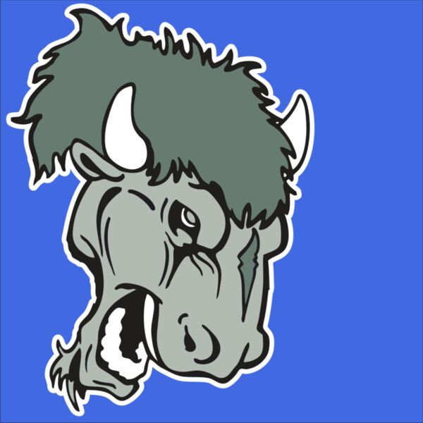 AR BUFFALO 19 RC Thumbnail