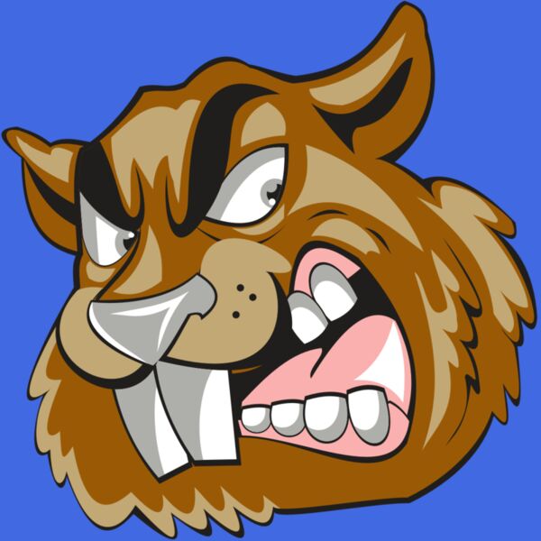 BEAVER HD0504 RQC Thumbnail