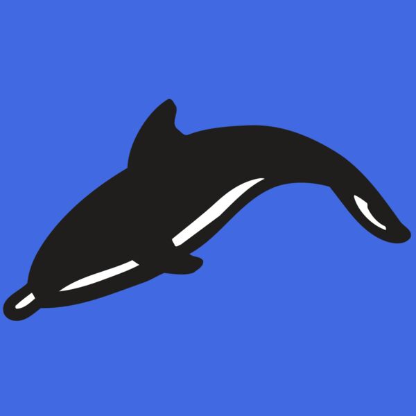 AR DOLPIN 16 RC Thumbnail