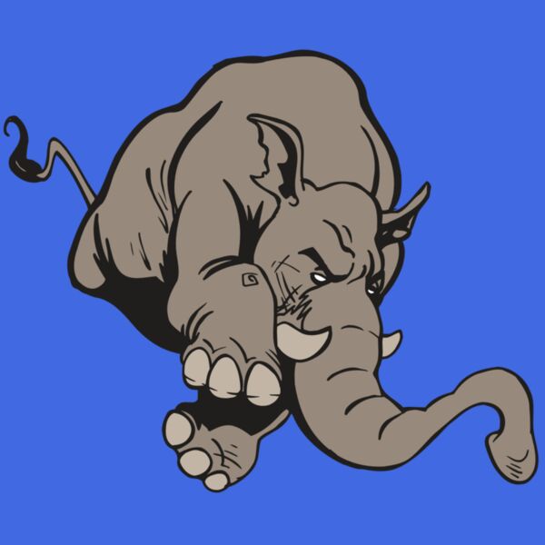 AR5 Elephant 17 RQC Thumbnail