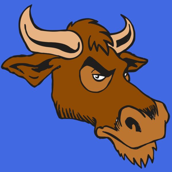 AR5 Bull 06 RQC Thumbnail