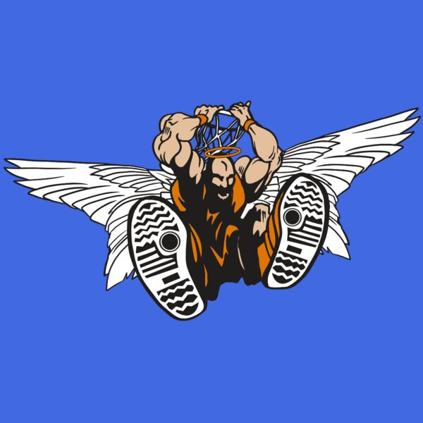 AR17 ANGEL BSKT 07 RQC Thumbnail