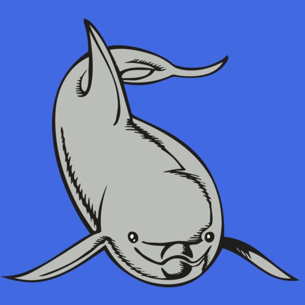 BAW DOLPHIN 02 RC Thumbnail