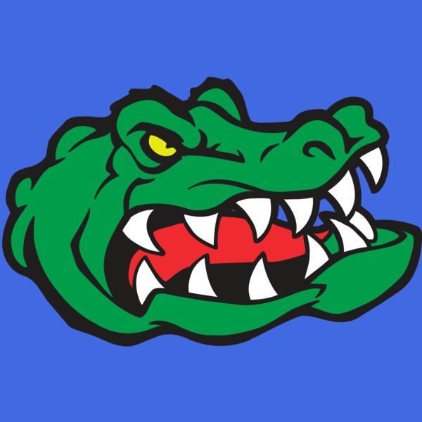 AR GATOR 19 RQC Thumbnail