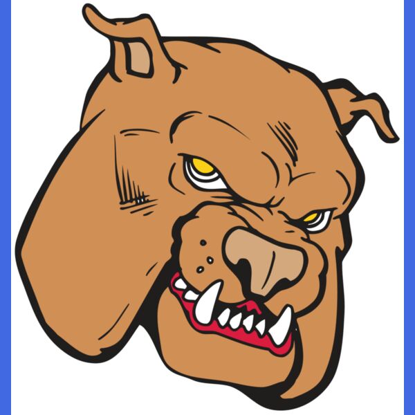 AR BDOG 41 RC Thumbnail