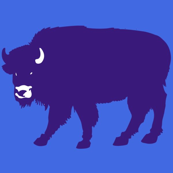 AR BUFF 23 RC Thumbnail