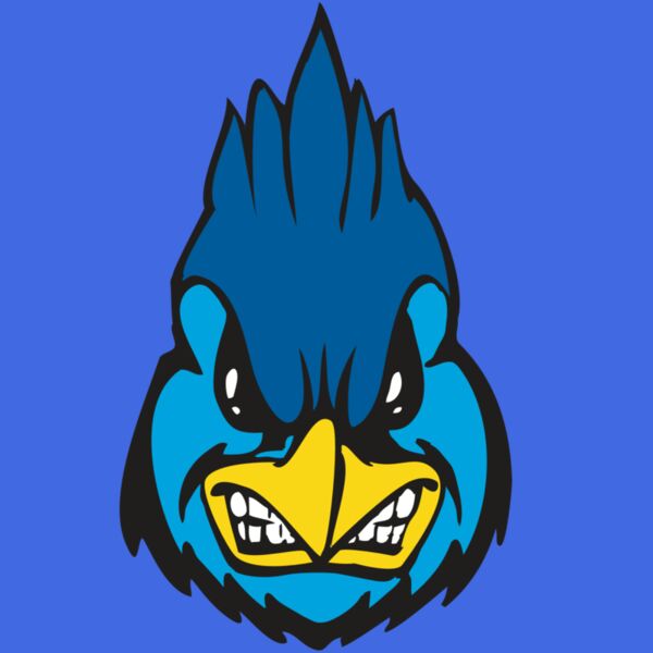 BAW BLUEJAY 02 RC Thumbnail