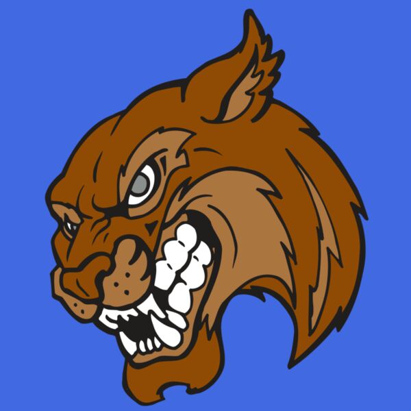 AR5 BOBCAT 07 RQC Thumbnail