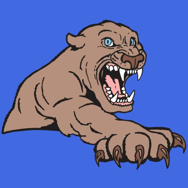 AR5 COUGAR 20 RQC Thumbnail