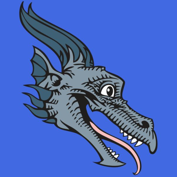 BAW DRAGON 15 RC Thumbnail