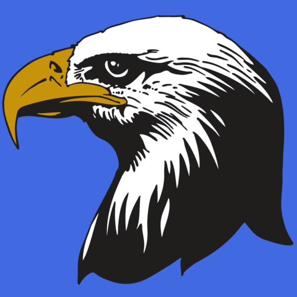 AR EAGLE 87 RC Thumbnail