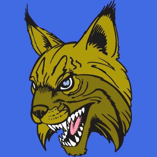 BAW BOBCAT 05 RC Thumbnail