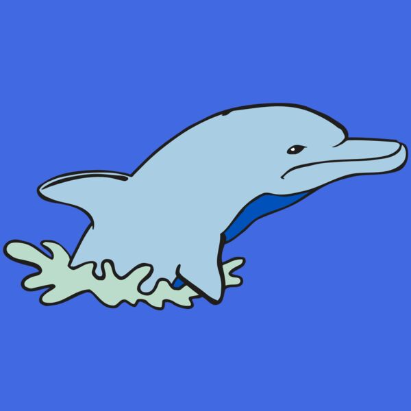 AR DOLPIN 14 RC Thumbnail