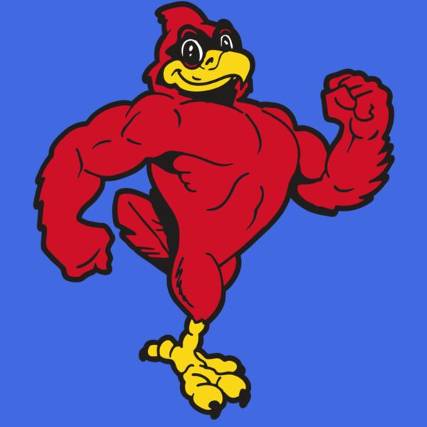 AR CARDINAL 41 RC Thumbnail