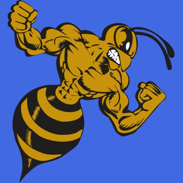 BAW BEE 01 RC Thumbnail