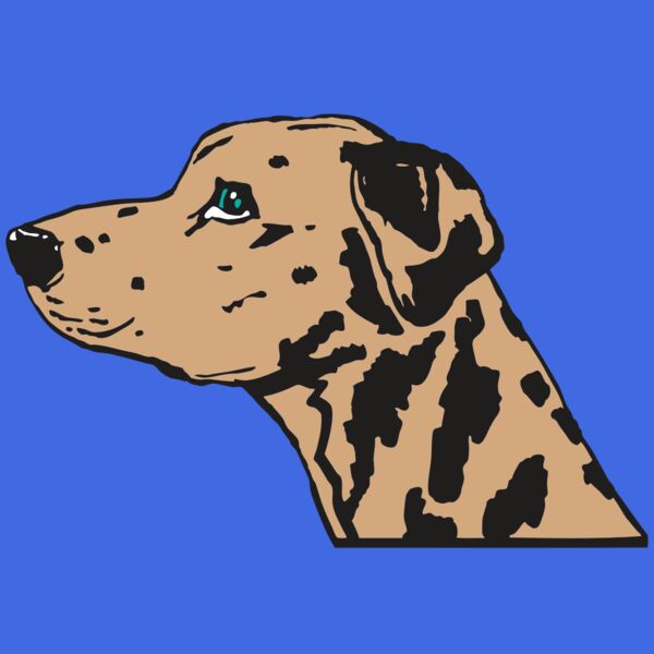 AR2 OTHER 03 RQC Thumbnail