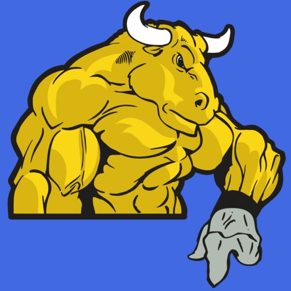 AR BULL 13 RC Thumbnail