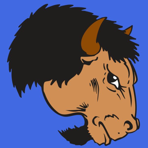 AR BUFFALO 16 RC Thumbnail