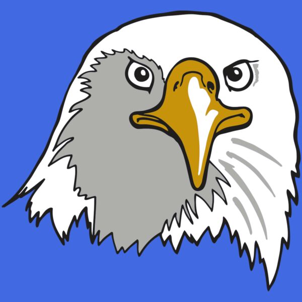 AR EAGLE 39 RC Thumbnail