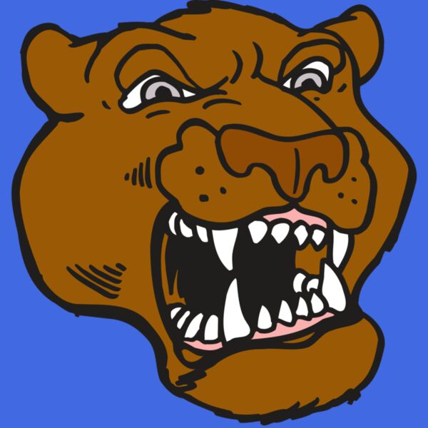 AR5 COUGAR 29 RQC Thumbnail