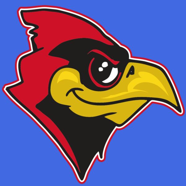 AR CARDINAL 38 RC Thumbnail