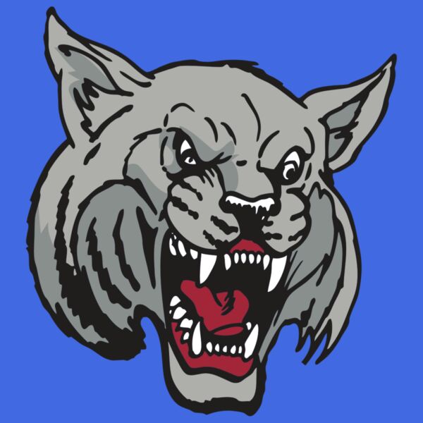 AR WILDCAT 42 RC Thumbnail