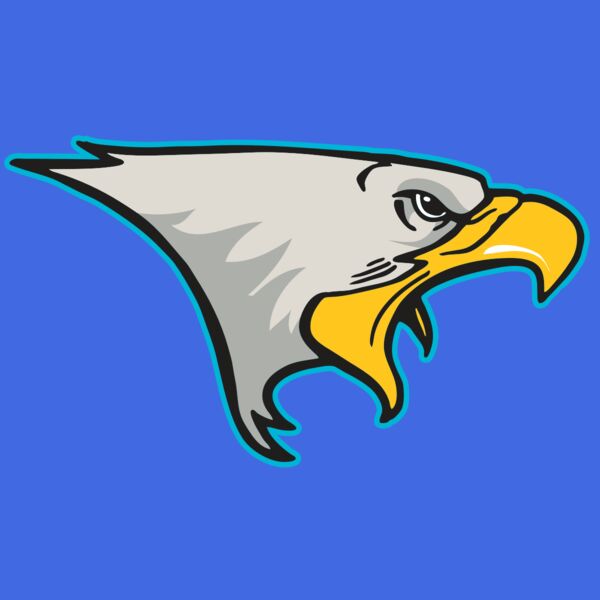 AR14 EAGLE FBALL 01 RQC Thumbnail