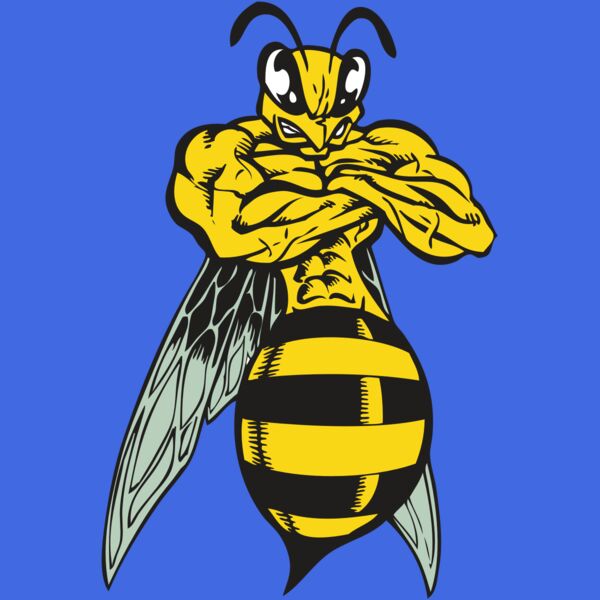 BAW BEE 16 RC Thumbnail