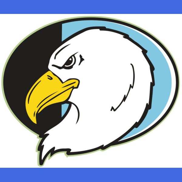 AR EAGLE 55 RC Thumbnail