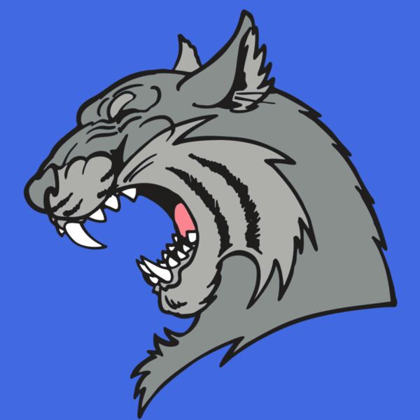 AR WILDCAT 41 RC Thumbnail