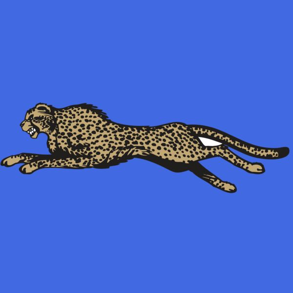 BAW CHEETAH 01 RC Thumbnail