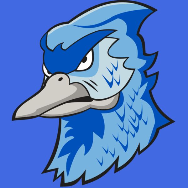 BLUEJAY HD0501 RQC Thumbnail