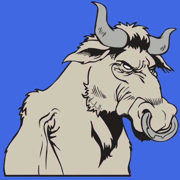 AR5 BULL 08 RQC Thumbnail