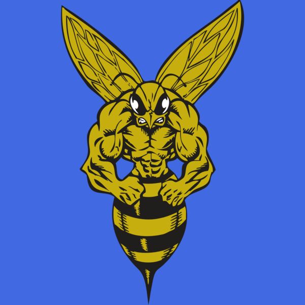 BAW BEE 06 RC Thumbnail