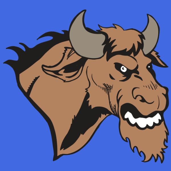 AR5 BULL 09 RQC Thumbnail