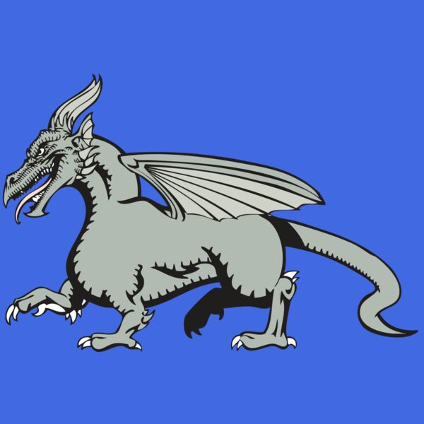 BAW DRAGON 20 RC Thumbnail