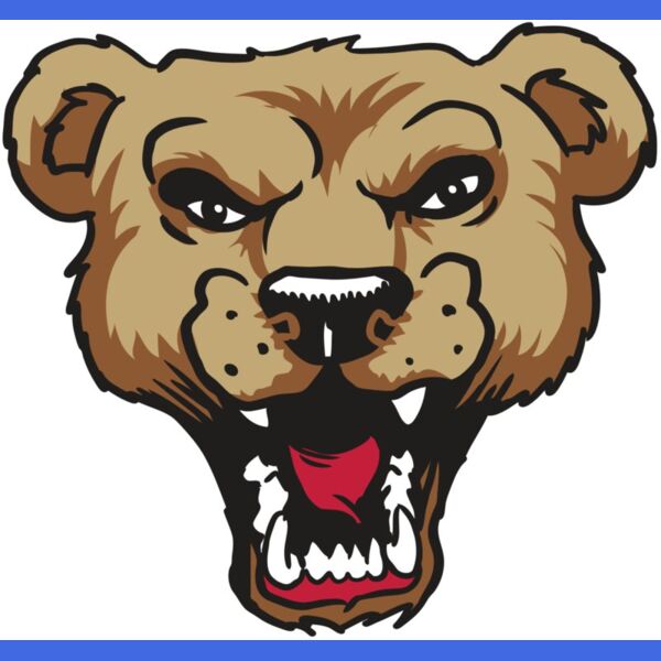 AR9 BEAR HD 01 RQC Thumbnail