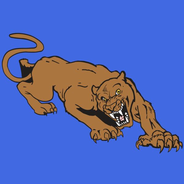 AR5 COUGAR 41 RQC Thumbnail